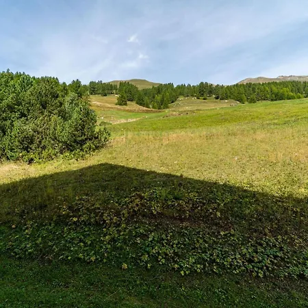 Chesa Gravulaina - *