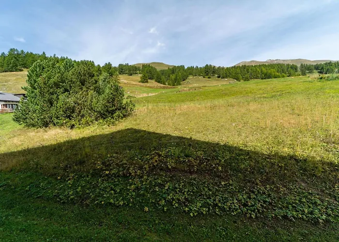 Chesa Gravulaina - *